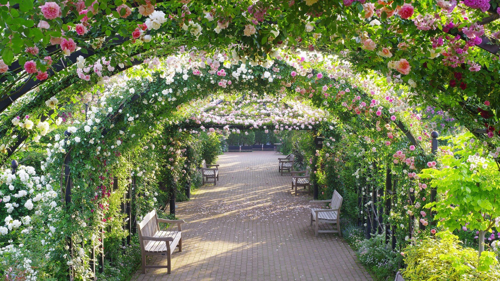 🏛️ 요코하마시 영국관 이미지 9